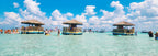 Apex Oasis | Miramar Beach, FL