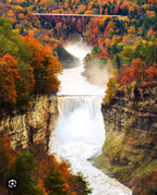 Apex Finger Lakes Estate | Dansville NY